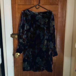 Women’s size 10 Ann Taylor Velvet Dress